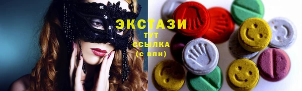 мдпв Карпинск