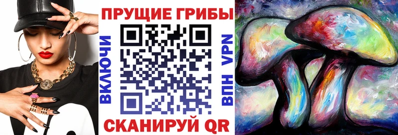 Псилоцибиновые грибы мицелий  Купить закладки  Берёзовский 